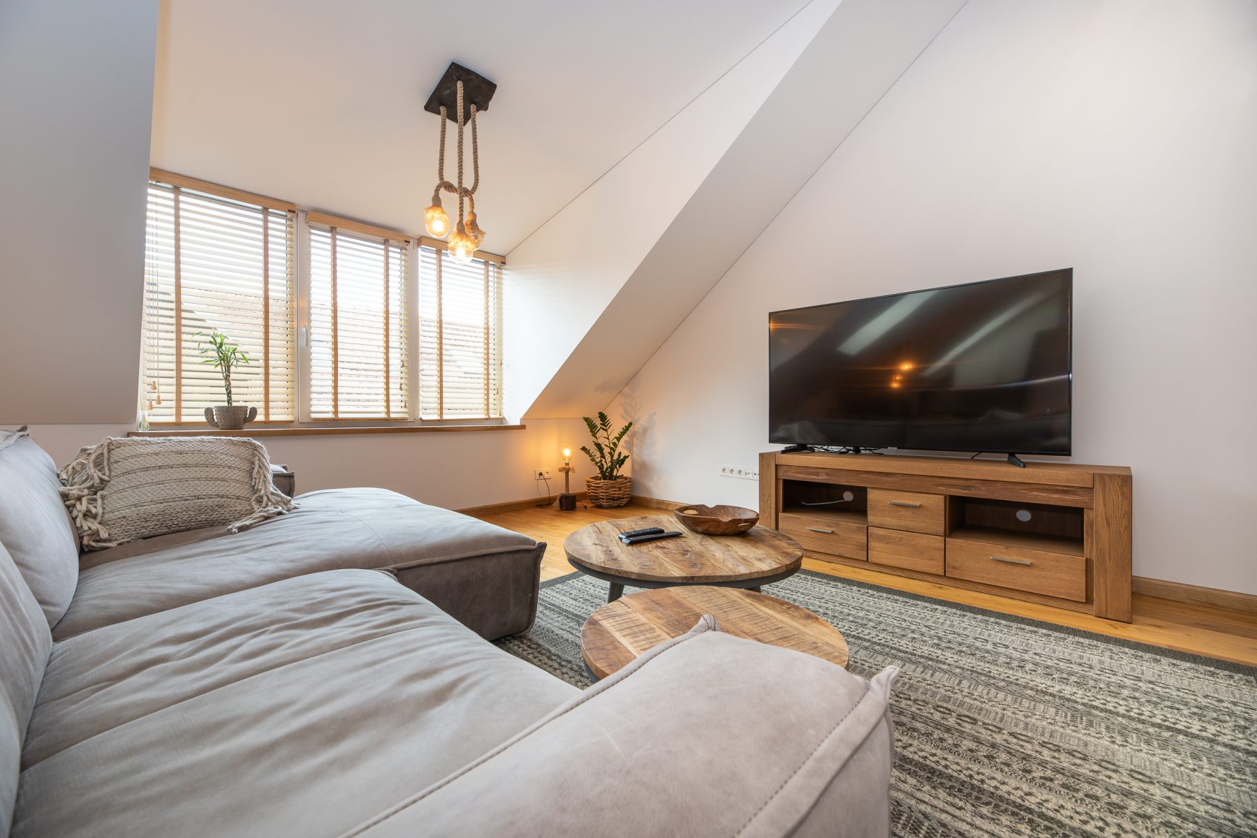 Moderni ir jauki svetainė su TV ir sofa