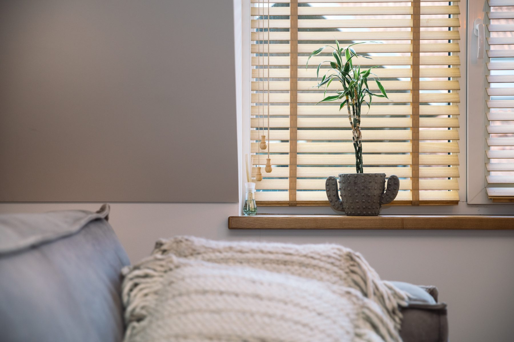 Interjero detalės - gėlės ant langų