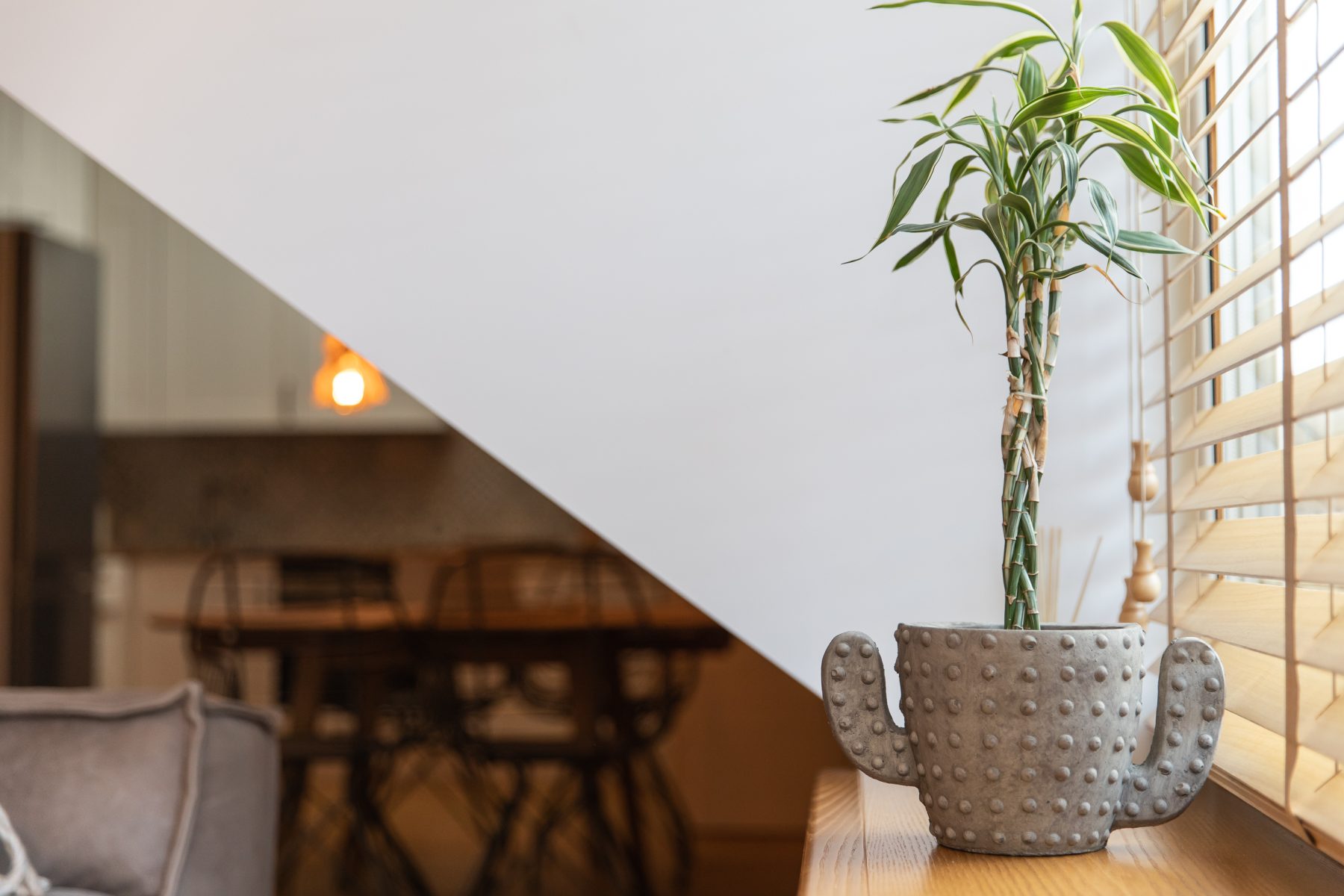 Interjero detalės - gėlės ant langų