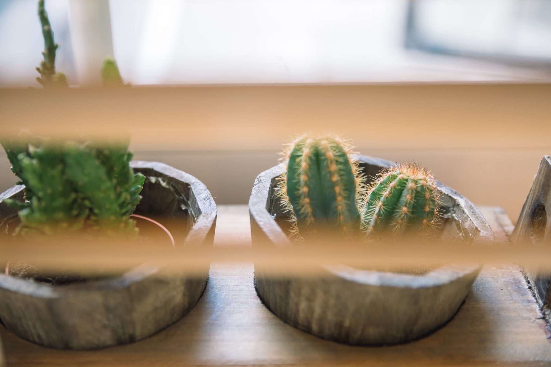 Moderni svetainė su patogia sofa ir šiuolaikišku interjeru