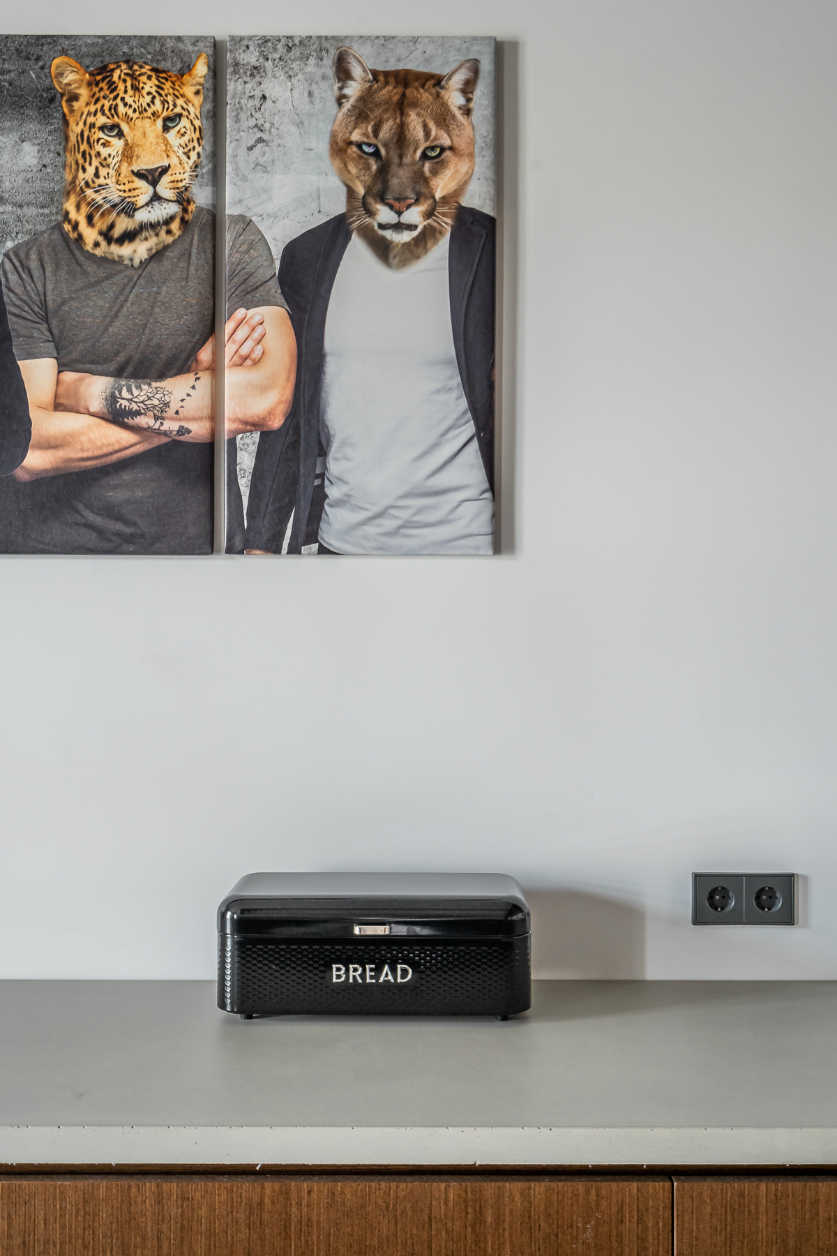 Interjero akcentai - paveikslas